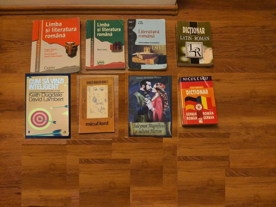 Diverse carti, manuale, dictionare, reviste