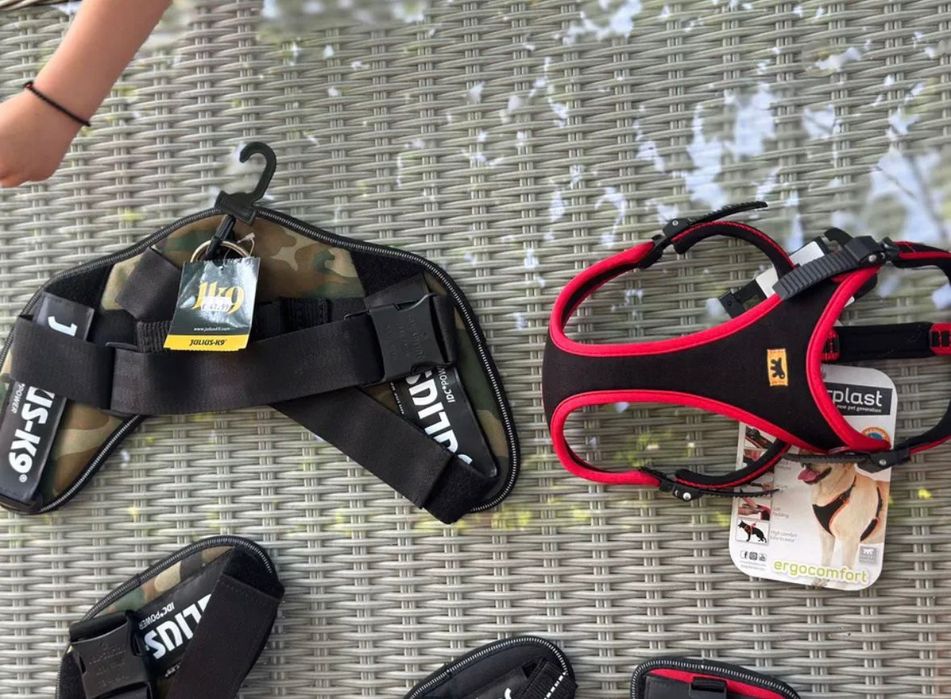 Vând hamuri pentru câini