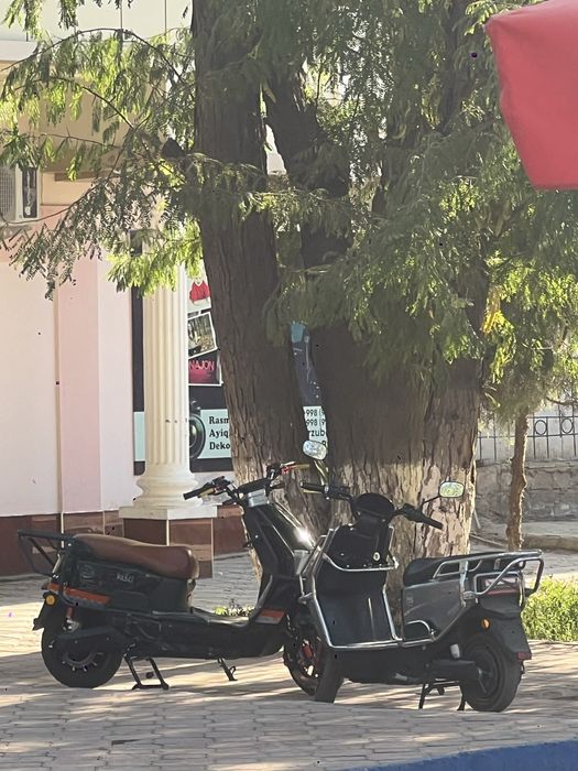 Sukutir wasta sport