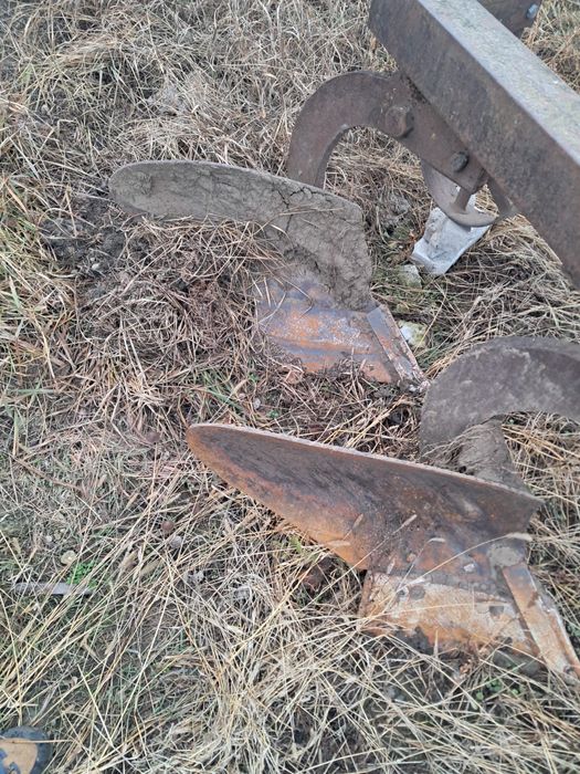 Plug romanesc cu 2 cormane