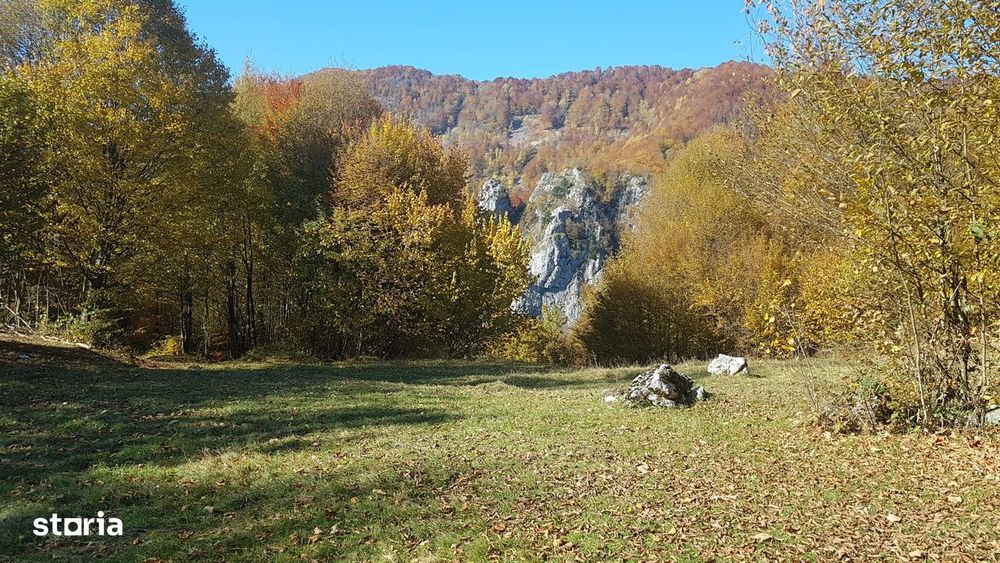 Teren frumos pentru casă de vacanță sau afacere, Boga-Padis, 16$mp