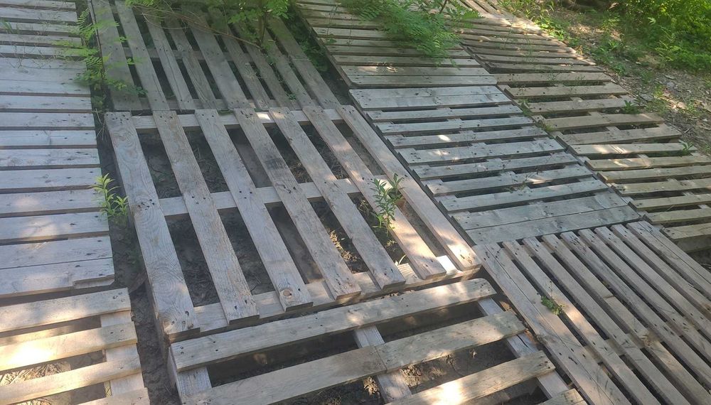 Paleti Folosiți, dar în Stare Bună
Preț fix: 30 RON/bucată