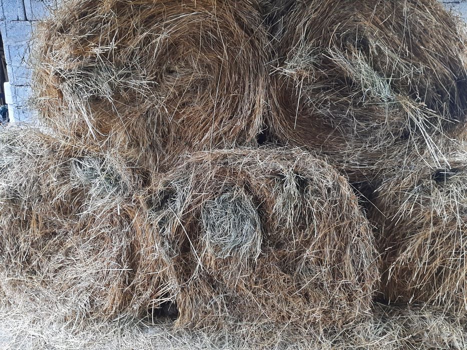 Baloti de fan si otava