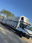 Bazin Ibc 1000 L