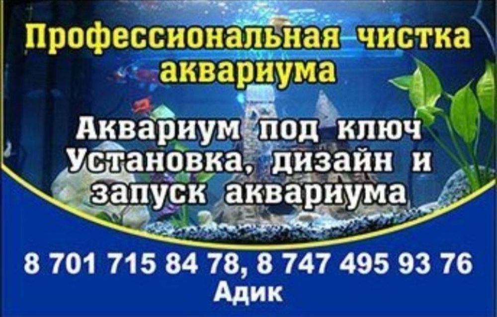 Аквариумистика , Аквариума
