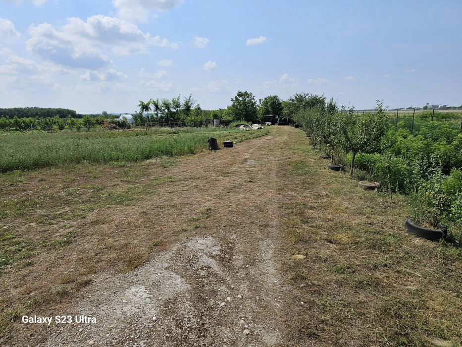 20 de arii extravilan langa aeroportul Satu Mare