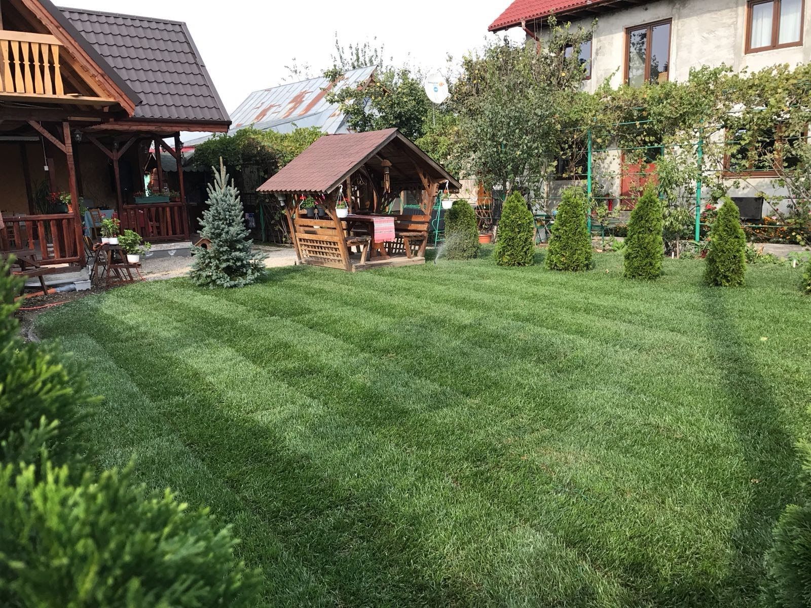 Amenajări grădini de la A la Z Gazon și plante ornamentale