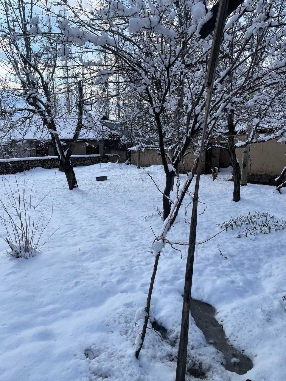 Бурчмуллада участка