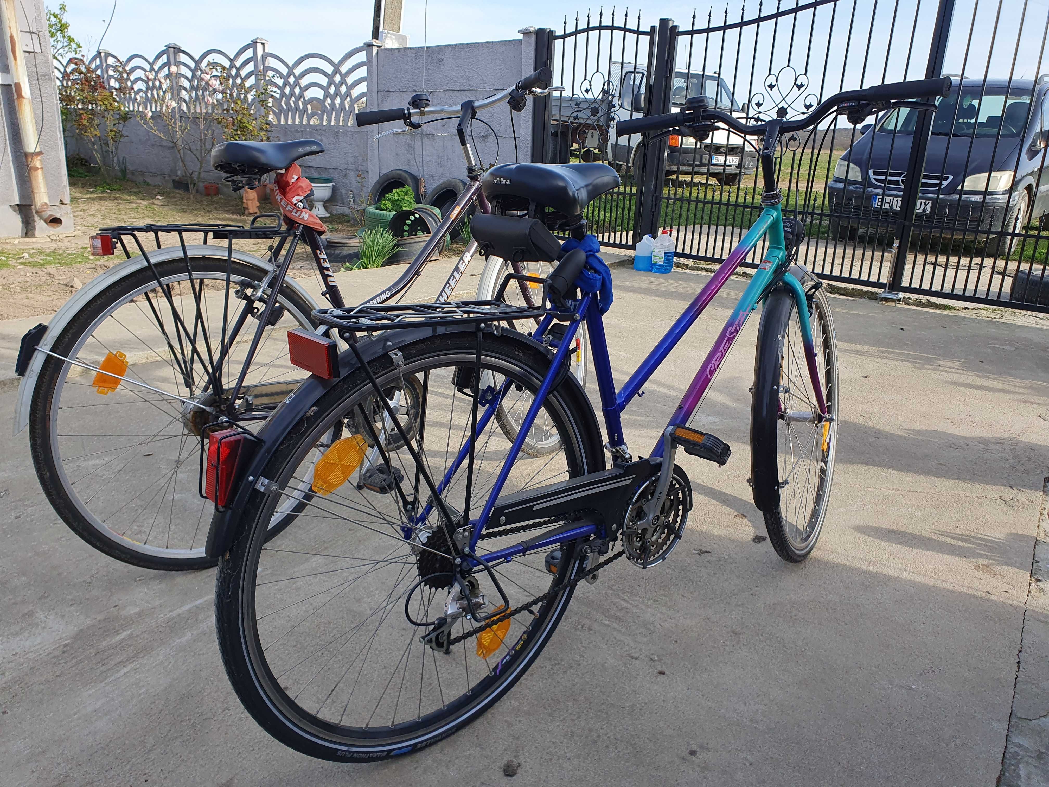 Bicicleta de oras