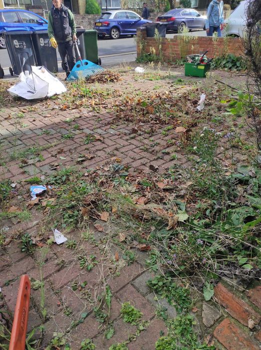 Почистване и подръжка на градини