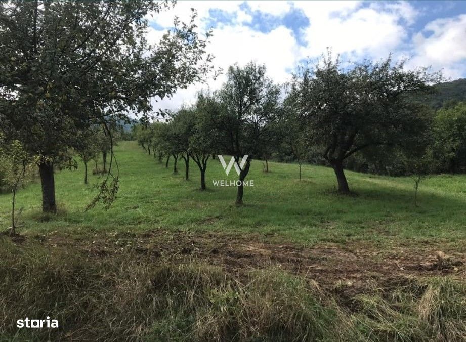 Teren extravilan - Sibiel, Sibiu