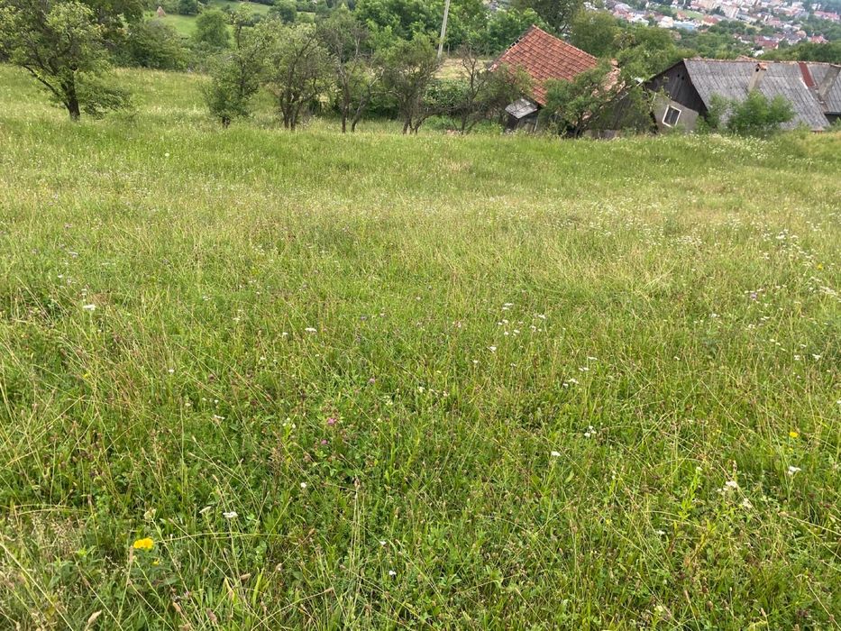 Vand teren intravilan 31 arii