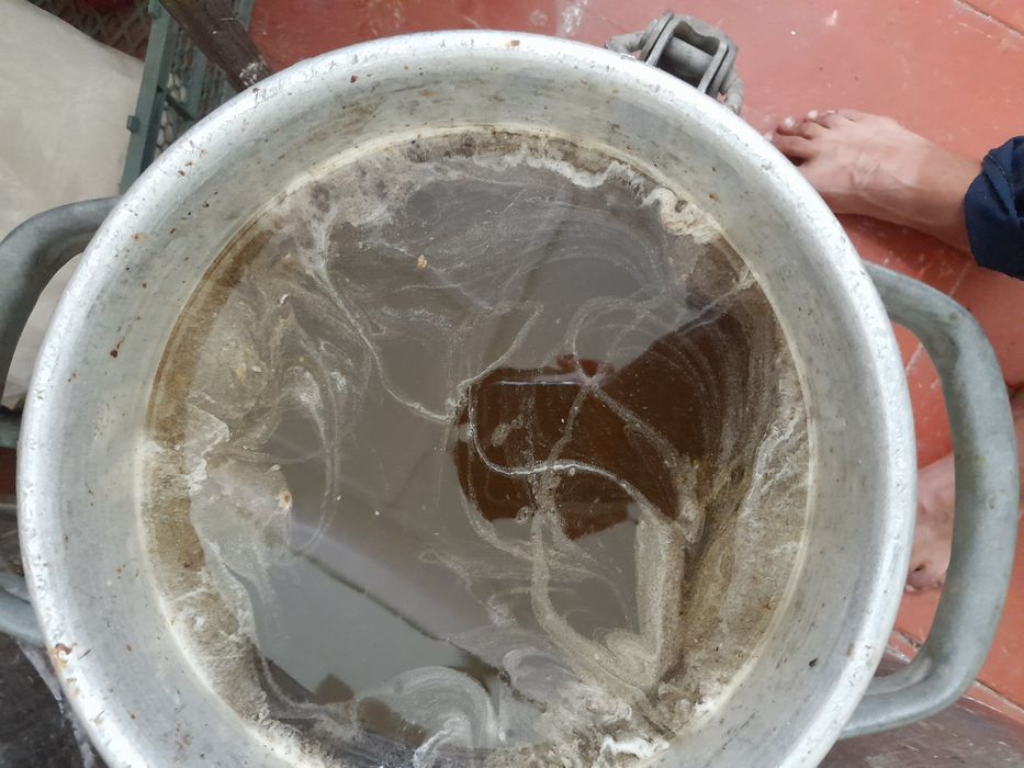 Tabiy toza asal paxtanki Surxodayi