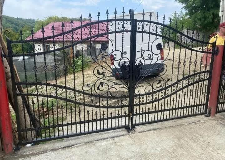 Porți garduri din fier forjat