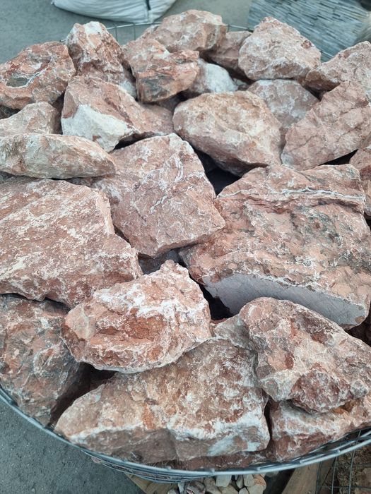 Bolovani ornamentali