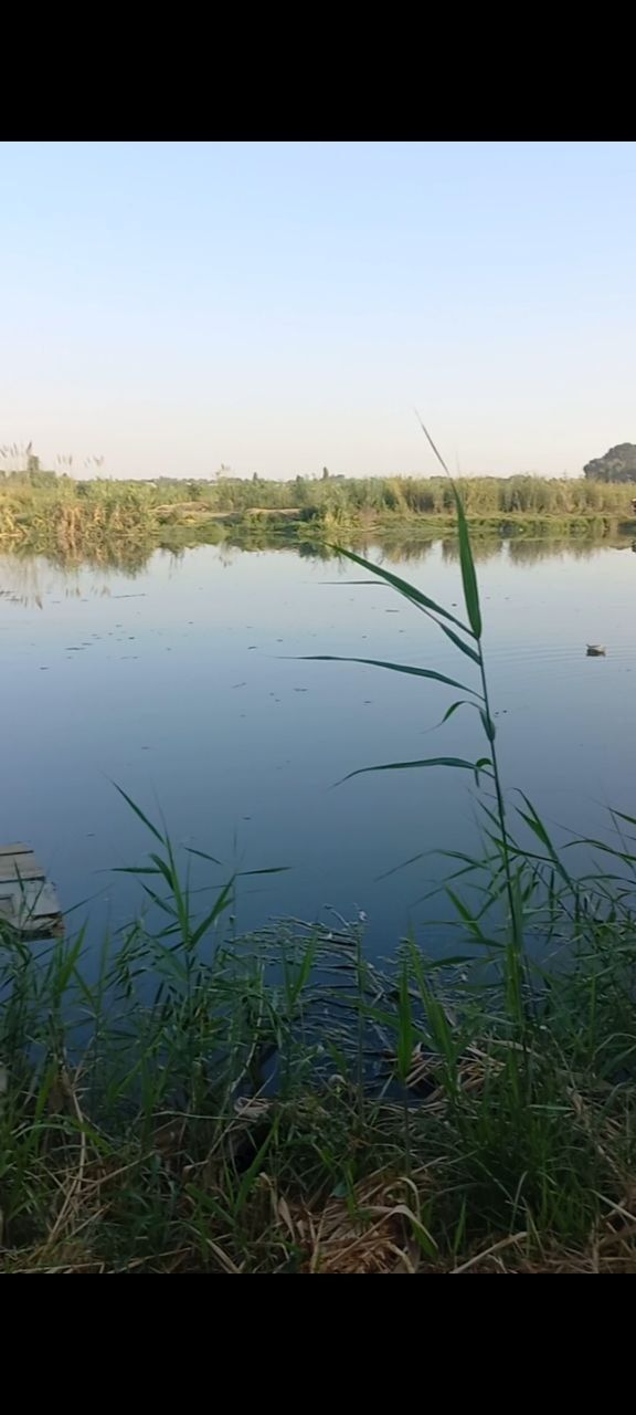 Halqabotda 12 sotih dacha sotiladi