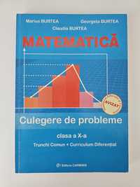 Culegere de probleme clasa a x-a Matematica