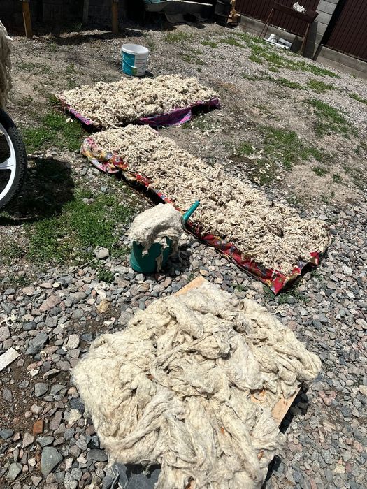 Продам шерсть мытая чистая