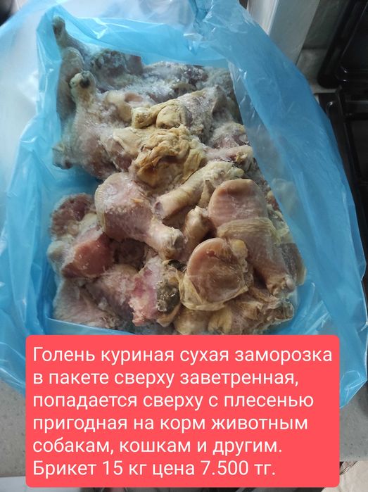 Корм для собак голень куриная.
