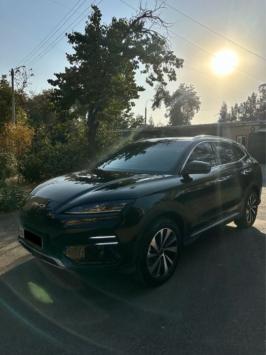 Byd champion 605 km full