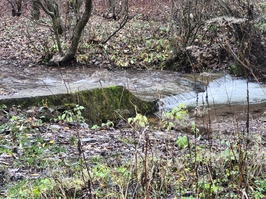 След извора на Струма над Боснек - продавам имот 2,5 дка