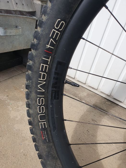 Trek remedy 9.8 full carbon
