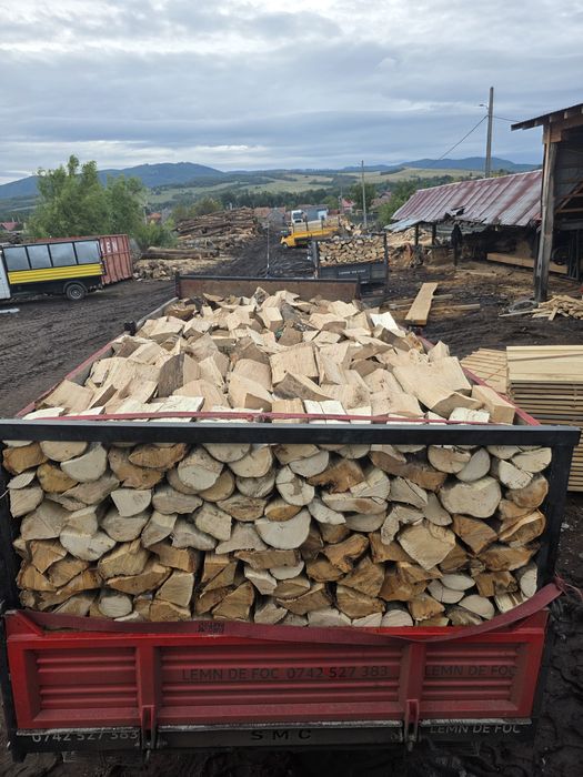 Lemn lemne de foc uscate esență tare