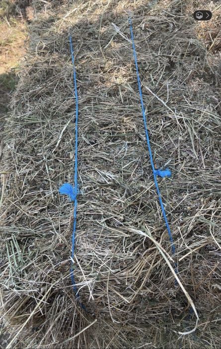 Vand baloti de lucerna