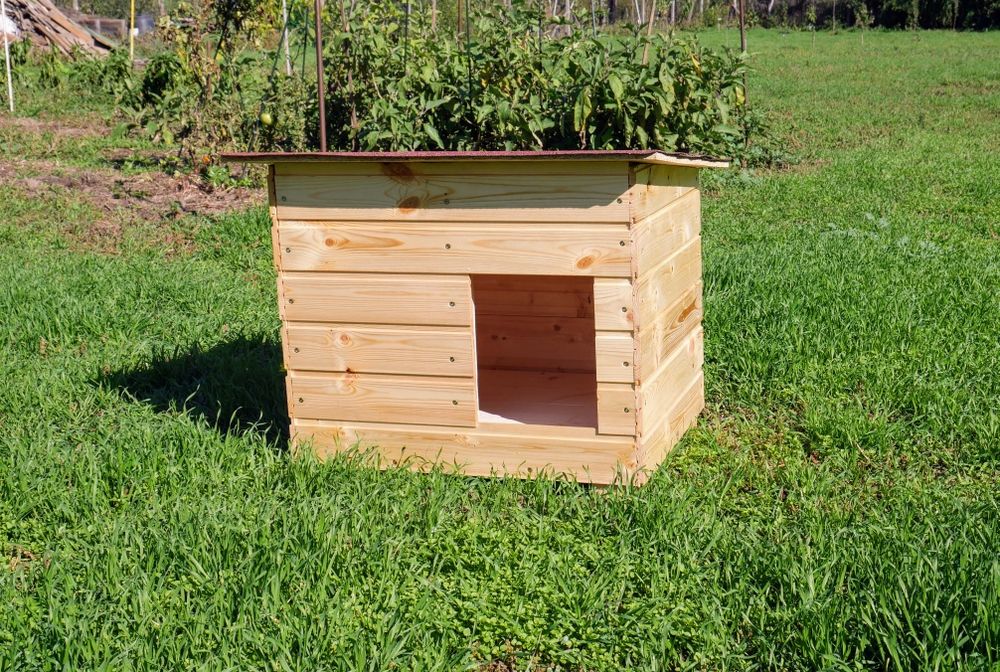 Cușcă cățel talie medie