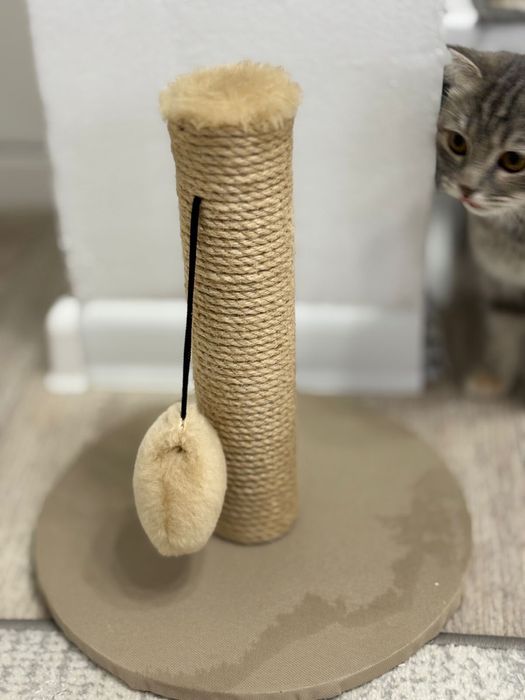 Коктеточки для кошек
