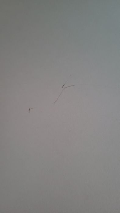 Casetieră 2 sertare(noptieră) ,,Fancy mint" -Mobexpert