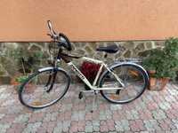 Bicicleta Dinotti