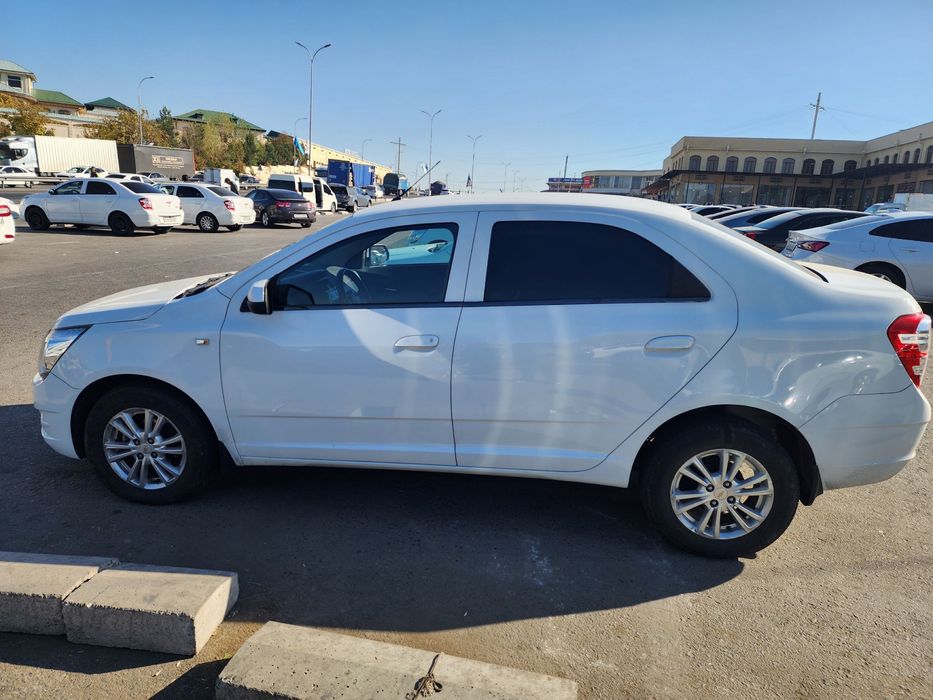 Kobilt sotiladi 2023 holat idiyal hammanarsasi bor