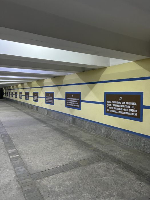 Devorga rasm chizish. Devorga robotprinter yordamida surat chizamiz!