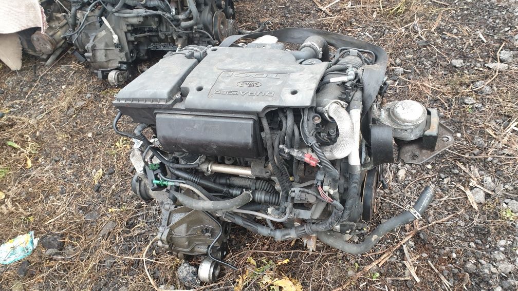 Motor 1.6 diesel Ford Fusion, Ford Fiesta