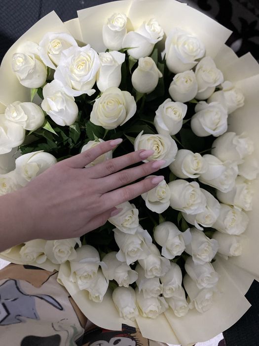 Свежый цветы жарты ставкамен
