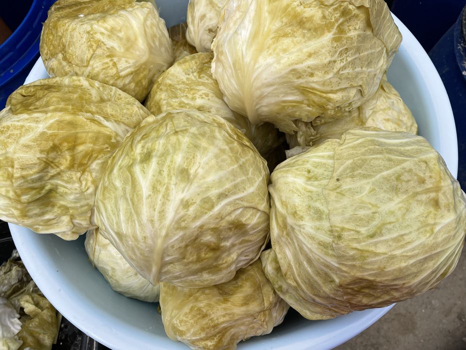 Varză murată  de vânzare
