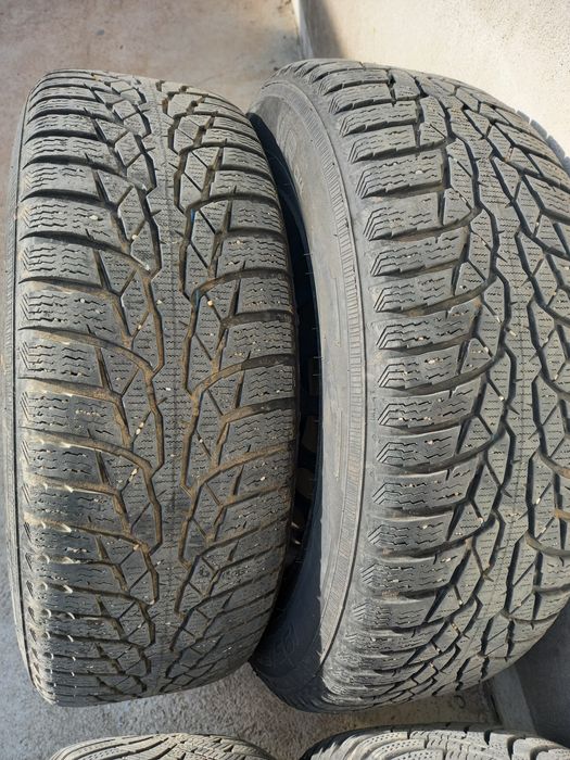 Roti iarna Gama  Vag