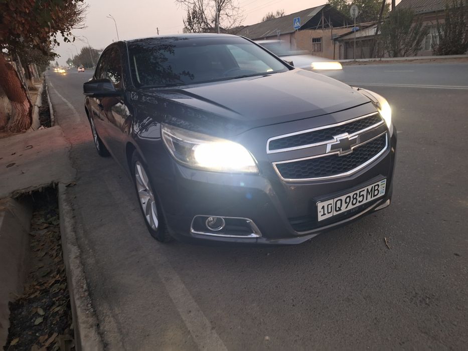 Malibu 1.   3 pazitsa ful