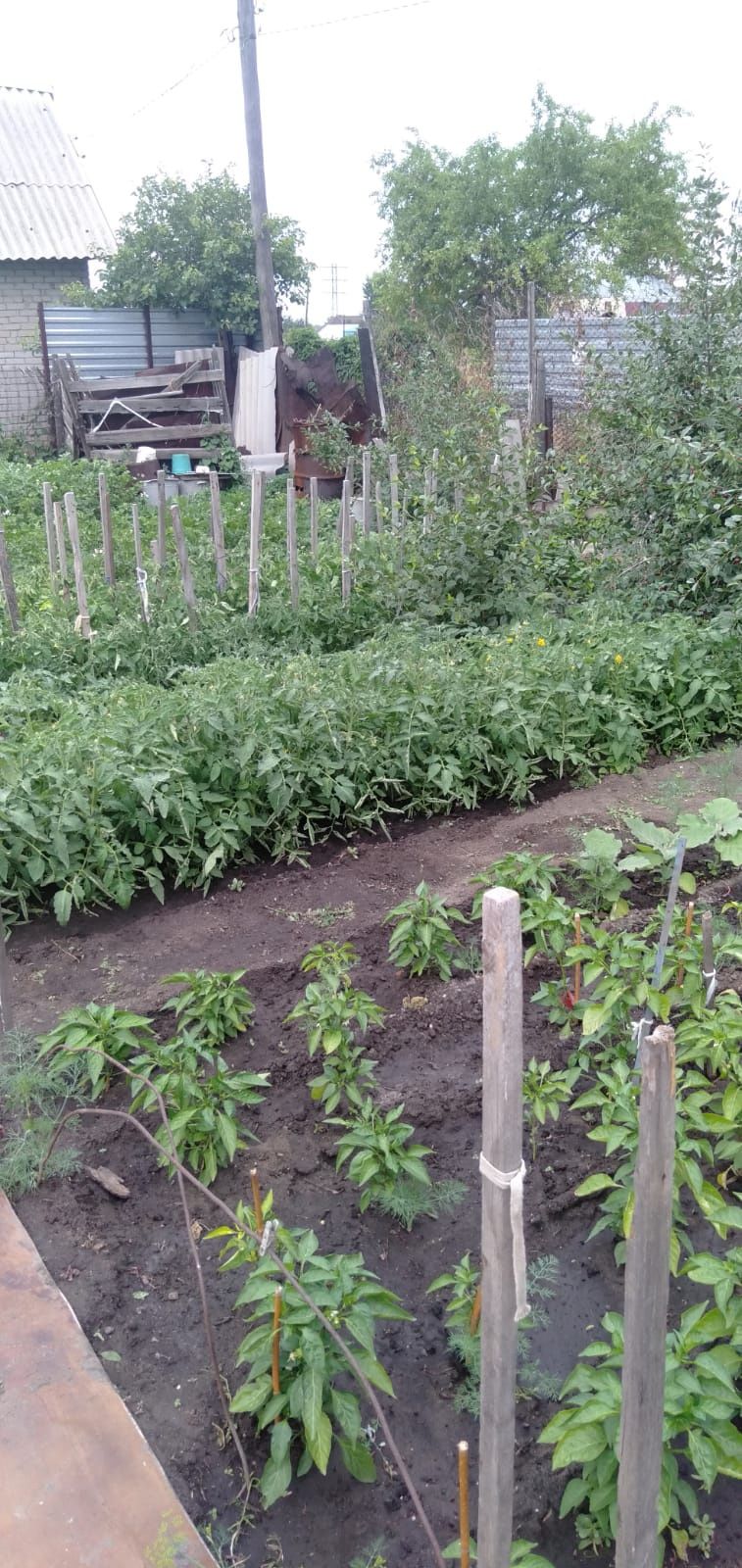 Продам дачу Мичуринец