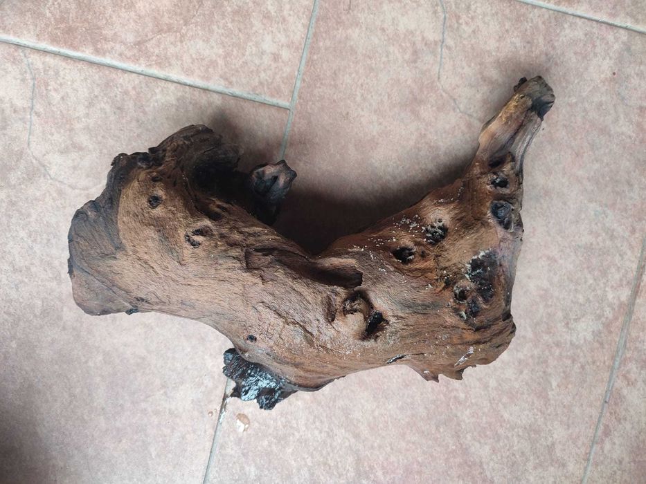 Vand radacini si pietre pentru acvariu - calitatea I. gata fierte