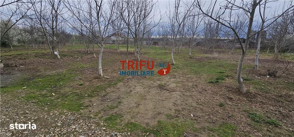 Teren industrial de vanzare in Ampoi