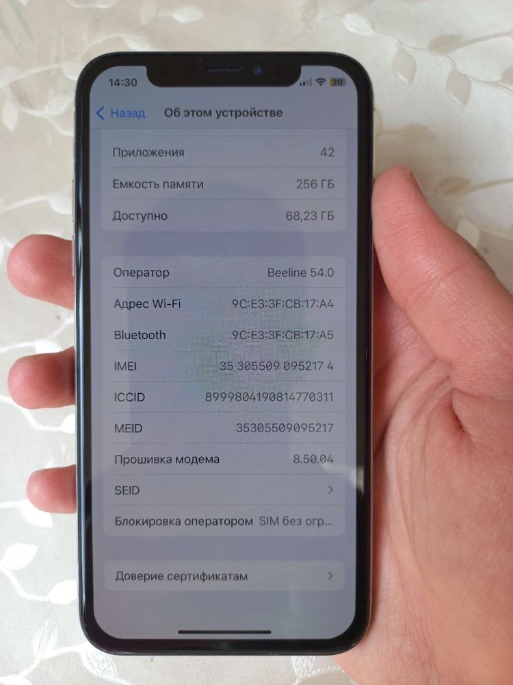 Iphone X 256 gb ideal LL/A