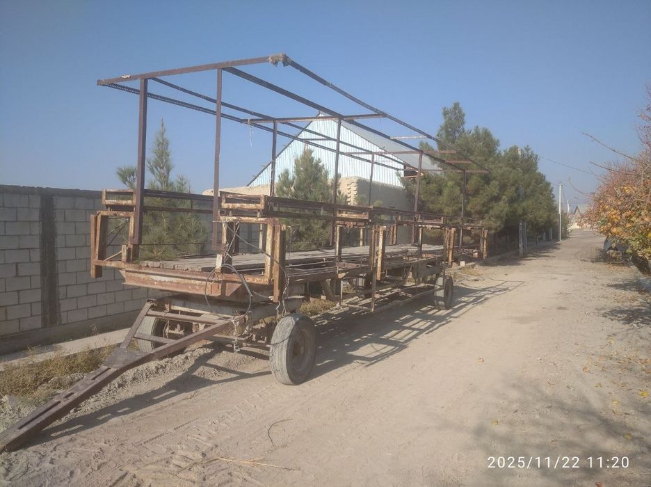 Асалари павилион