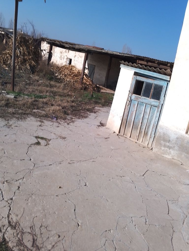 Ховли 16 сотх. 6 та хона.