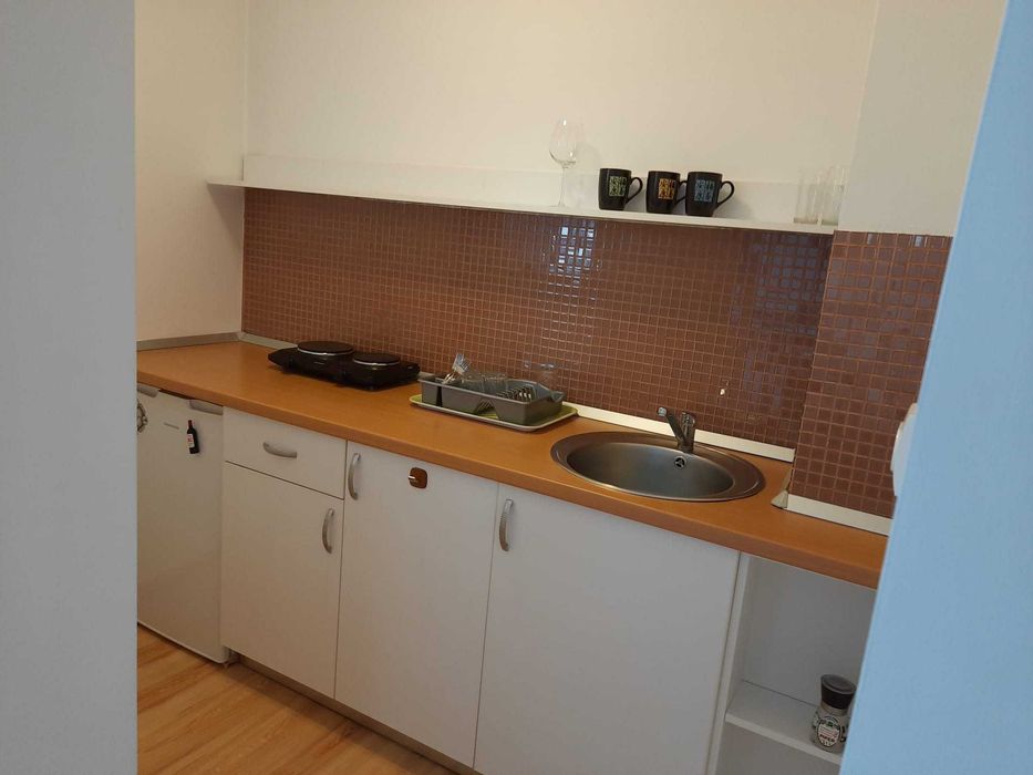 Proprietar închiriază apartament o camera ultracentral, ISHO, Medicina