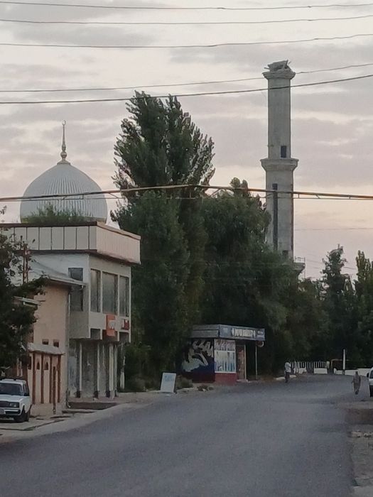 Келес сохипкор 1.5сотих 3хона