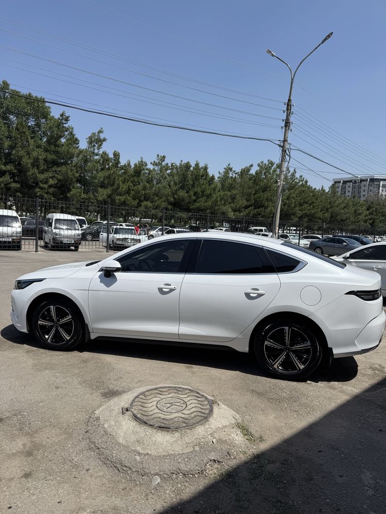 Byd chazor flagship full 2024