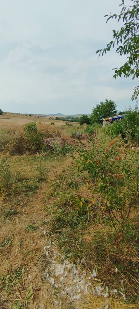 Продава се Парцел в Перник, Кошаревска махала - 580 кв.м за 52 €/кв.м - Снимка #2