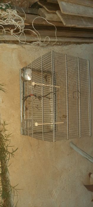 Colivie mare buna galvanizata